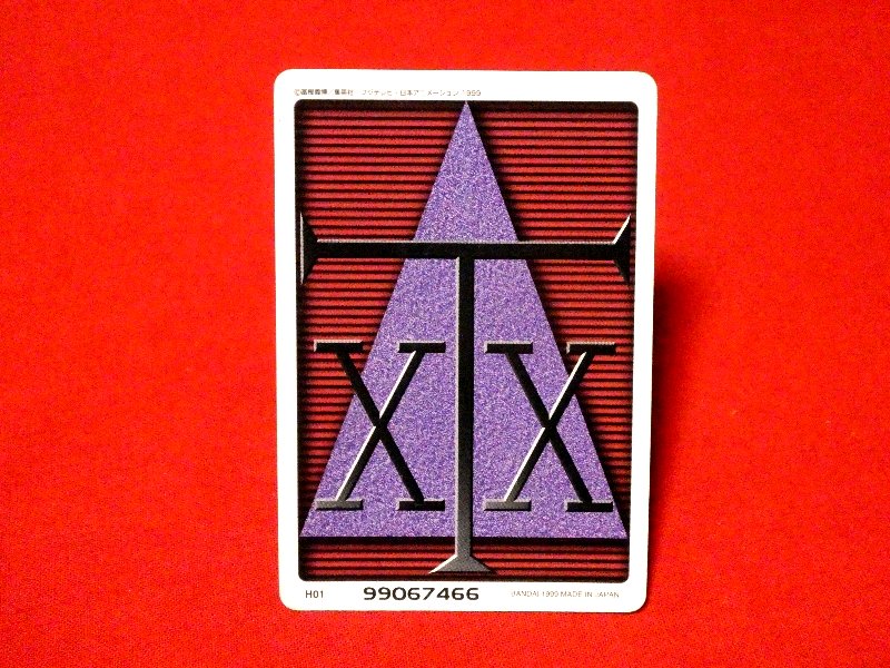 ハンターハンター HUNTER×HUNTER Trading Card カードトレカ H01 Trading Card