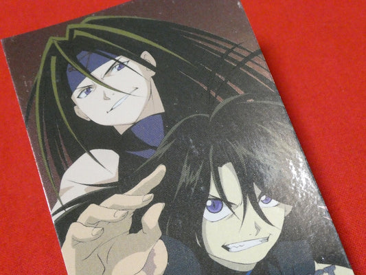 鋼の錬金術師 FULLMETAL ALCHEMIST Trading Card KIRACARD キラ カードトレカ WRATH&ENVY SP8 Trading Card