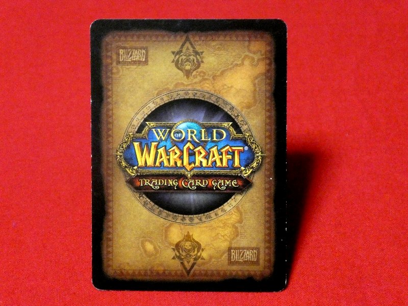 World of Warcraft ワールド オブ ウォークラフト KIRACARD キラカード トレカ obsidian drakonid 155/220 Trading Card