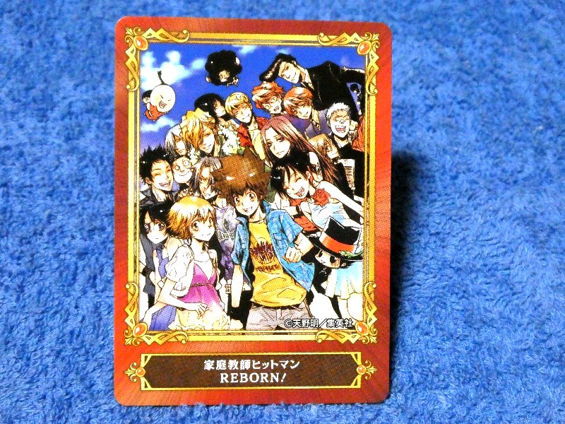 ジャンプフェア inアニメイト JumpFair 2022 家庭教師ヒットマンreborn リボーン Trading Card カード トレカ Trading Card