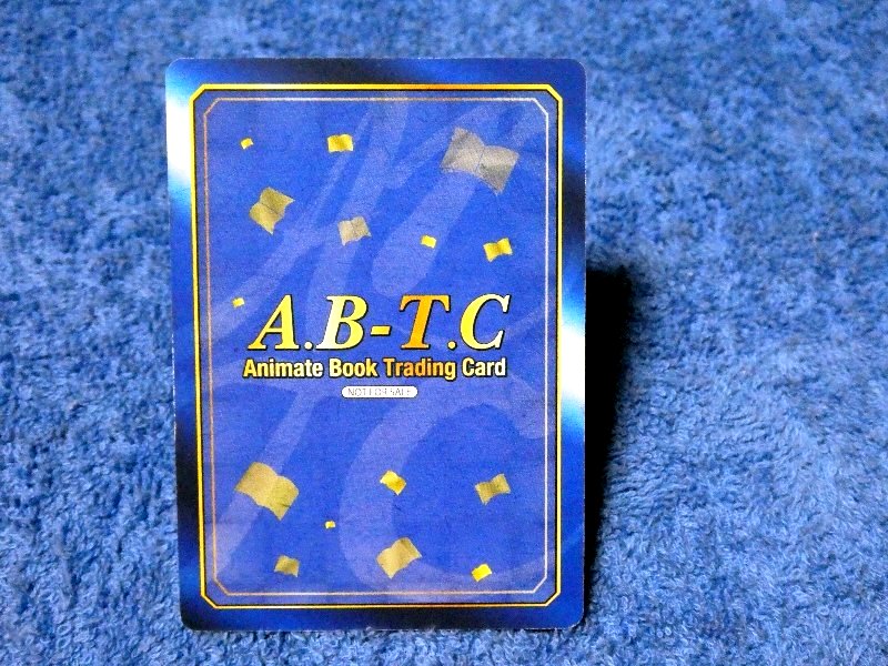 animate book A.B-T.C アニメイト TCG Trading Card デートアライブ Date a Live カード トレカ 五河士道 Trading Card