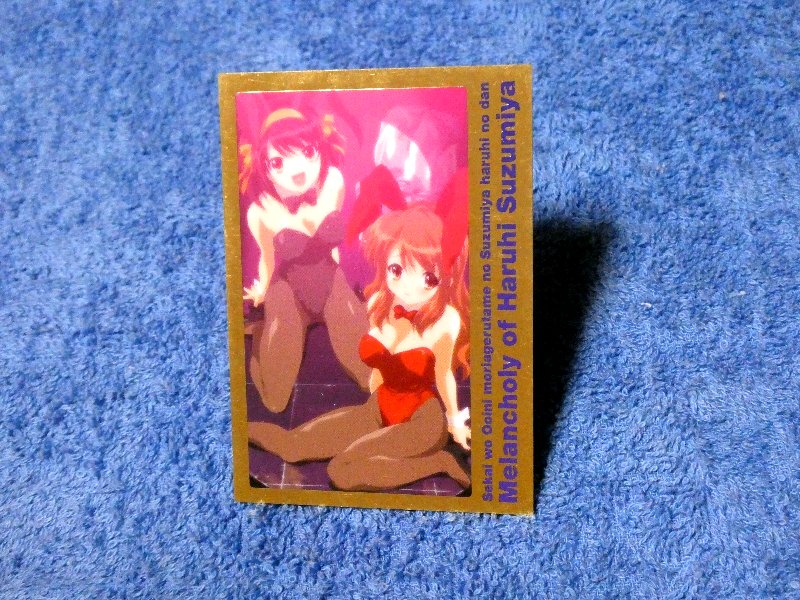 涼宮ハルヒの憂鬱 The Melancholy of Haruhi Suzumiya Trading Card カード トレカ R19 Trading Card