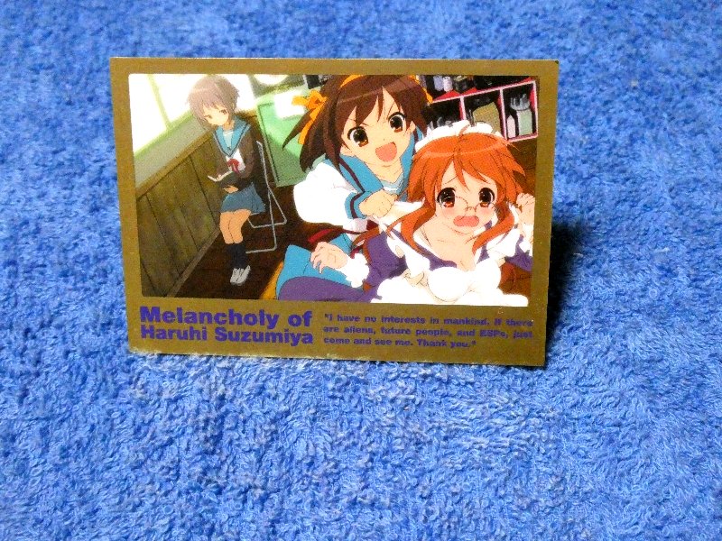 涼宮ハルヒの憂鬱 The Melancholy of Haruhi Suzumiya Trading Card カード トレカ R22 Trading Card