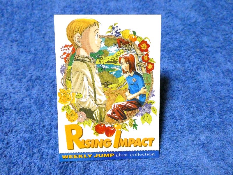 ジャンプフェスタ Jump Festa Trading Card カード トレカRising Impact ライジングインパクト NO11 Trading Card
