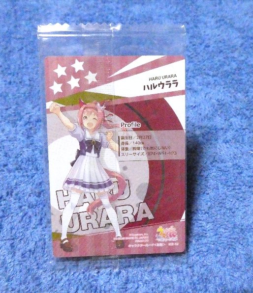 未開封 ウマ娘 Uma Musume Trading Card KIRACARD キラ カード トレカ ハルウララ HARUURARA W2-19 Trading Card