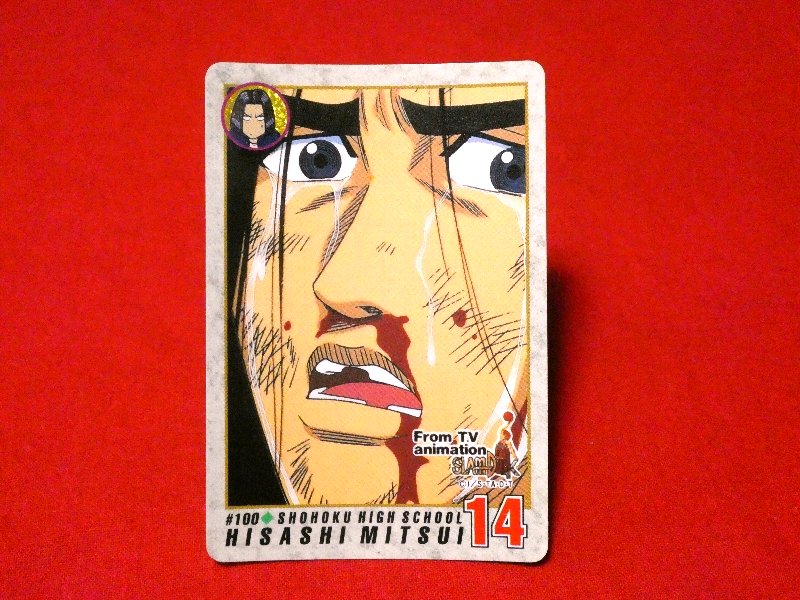 スラムダンク SLAM DUNK Trading Card カード トレカ 三井寿 #100 Trading Card