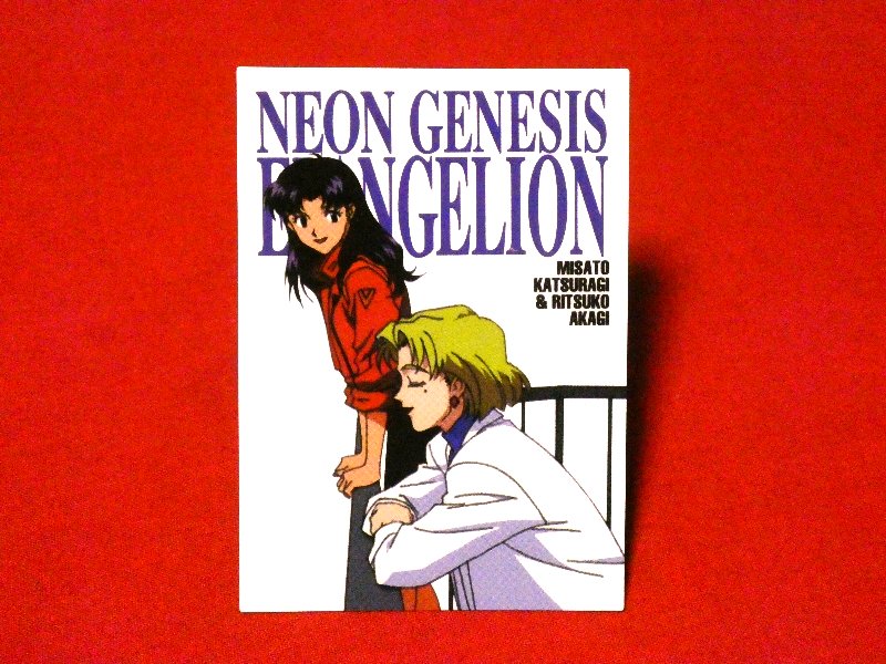 エヴァンゲリオン Neon Genesis Evangelion Trading Card 非売品 カードトレカ セガサターンソフト特典 SS6 Trading Card