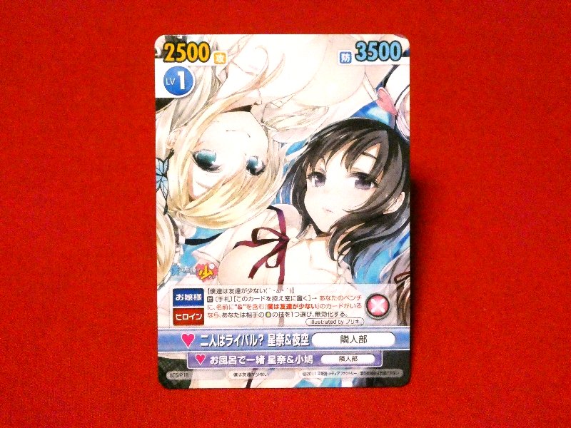 ヴィクトリースパーク 僕は友達が少ない Haganai Trading Card カードトレカ BTS/P18 Trading Card