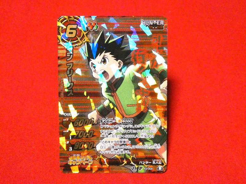 ミラクルバトルカードダス Miracle Battle Carddass ハンターハンター HUNTER×HUNTER Trading Card KIRACARD キラカード トレカ ゴンフリークス P AS-009 Trading Card