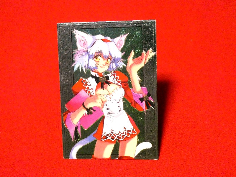 VENUS IDOL PROJECT V.I.P 未来蜂歌留多商会 Trading Card KIRACARD キラ カード トレカ きむらじゅんこ VENUS-06 Trading Card