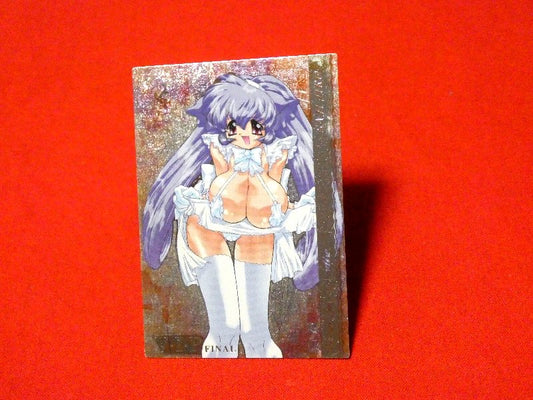 VENUS IDOL PROJECT V.I.P 未来蜂歌留多商会 Trading Card KIRACARD キラ カード トレカ 佐治ジロー 066 Trading Card