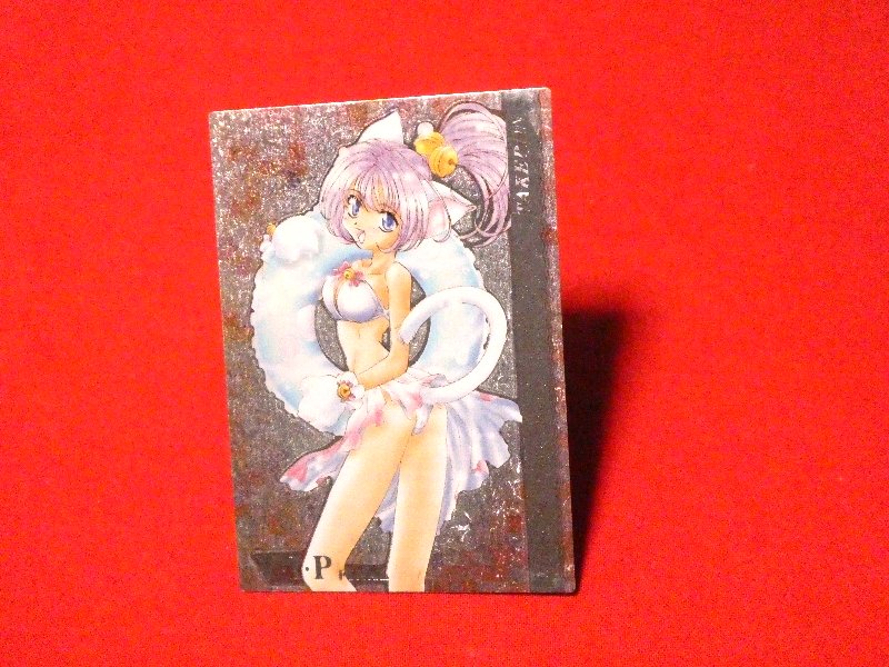 VENUS IDOL PROJECT V.I.P 未来蜂歌留多商会 Trading Card KIRACARD キラ カード トレカ たけぽん 069 Trading Card