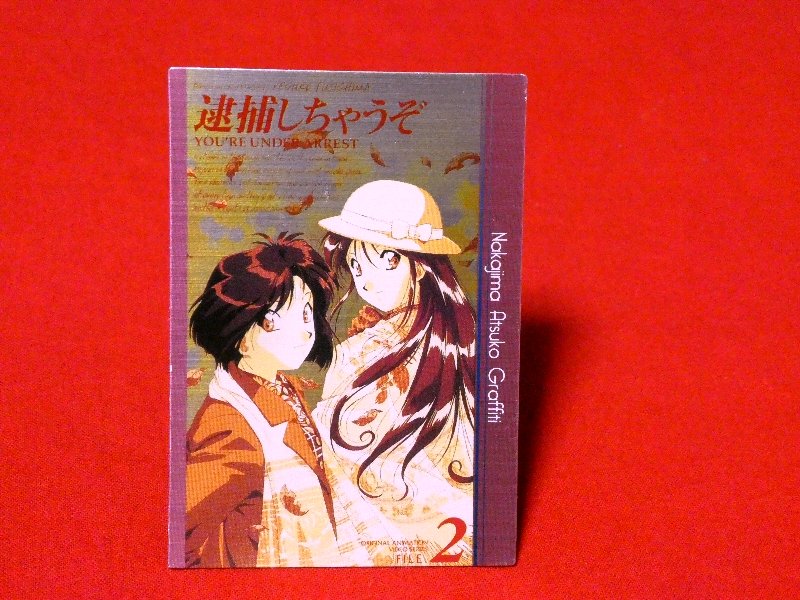 逮捕しちゃうぞ You're Under Arrest Trading Card KIRACARD キラ カード トレカ M-2 Trading Card