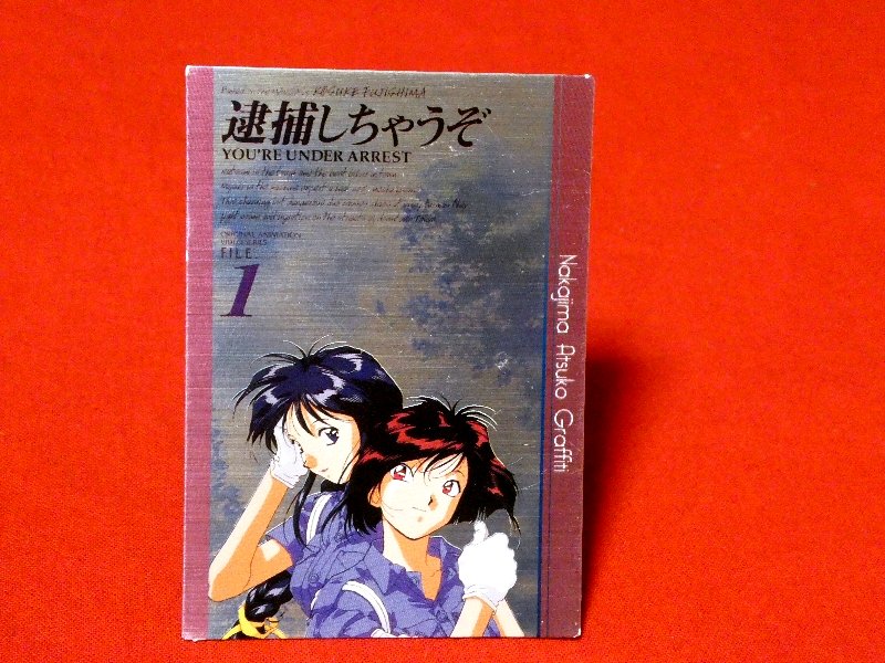 逮捕しちゃうぞ You're Under Arrest Trading Card KIRACARD キラ カード トレカ M-1 Trading Card