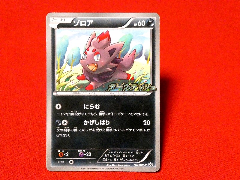 ポケットモンスター pocket monster Pokemon ポケモン Trading Card カード トレカ ゾロア 116BW-P PROMO Trading Card