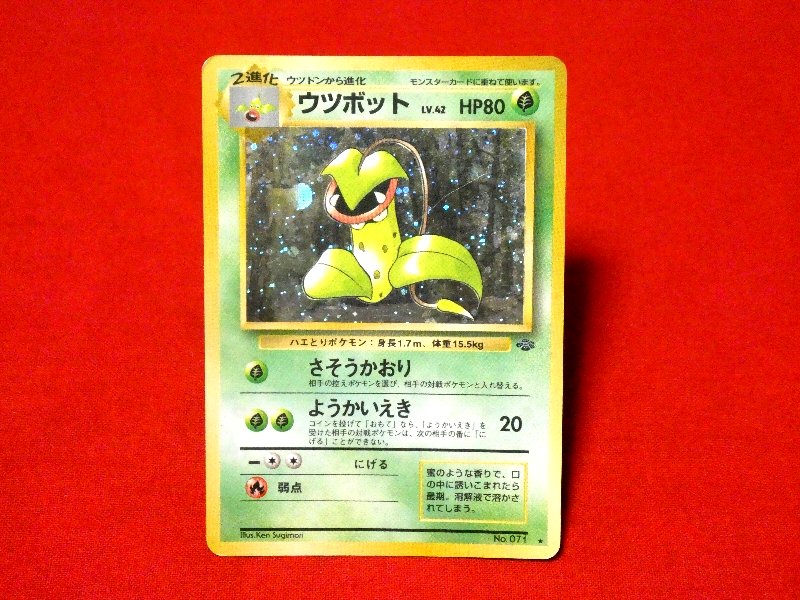 ポケットモンスター pocket monster Pokemon ポケモン Trading Card KIRA CARD キラ カード トレカ ウツボット NO.071 Trading Card