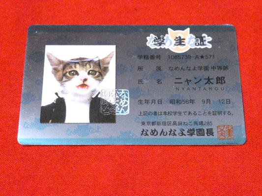なめ猫 なめねこ Trading Card CARD parody CARD パロディ KIRA CARD キラカード トレカ ニャン太郎 Trading Card