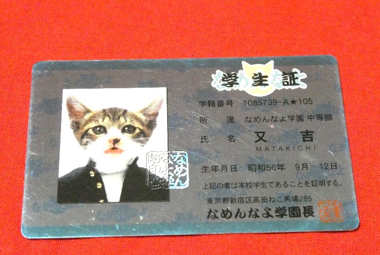 なめ猫 なめねこ Trading Card CARD parody CARD パロディ KIRA CARD キラカード トレカ 又吉 Trading Card