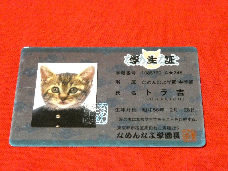 なめ猫 なめねこ Trading Card CARD parody CARD パロディ KIRA CARD キラカード トレカ トラ吉 Trading Card