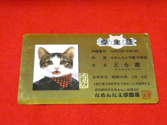 なめ猫 なめねこ Trading Card CARD parody CARD パロディ KIRA CARD キラカード トレカ どら吉 Trading Card