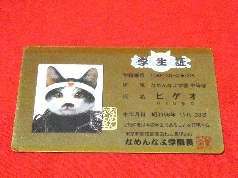 なめ猫 なめねこ Trading Card CARD parody CARD パロディ KIRA CARD キラカード トレカ ヒゲオ Trading Card