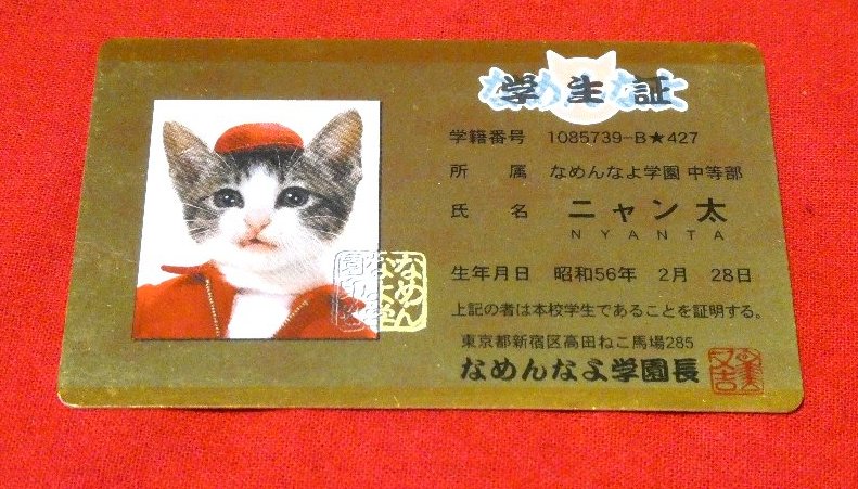なめ猫 なめねこ Trading Card CARD parody CARD パロディ KIRA CARD キラカード トレカ ニャン太 Trading Card