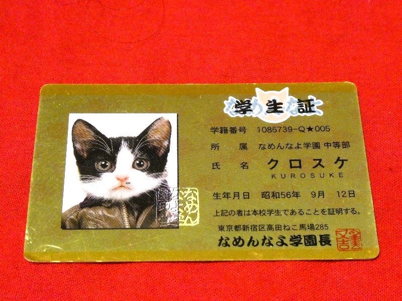 なめ猫 なめねこ Trading Card CARD parody CARD パロディ KIRA CARD キラカード トレカ クロスケ Trading Card