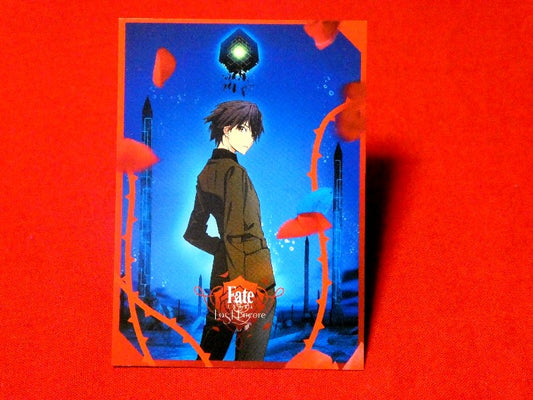 フェイト EXTRA Last Encore Fate 酸欠少女さユり Trading Card カード トレカ Trading Card