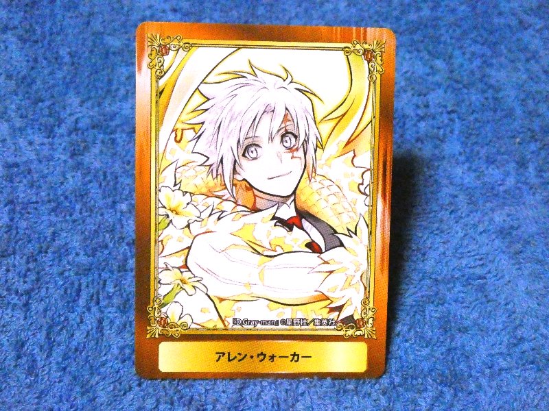 ジャンプフェア inアニメイト JumpFair 2020 ディーグレイマン D.Gray-man Dグレ Trading Card カード トレカ アレン・ウォーカー Trading Card