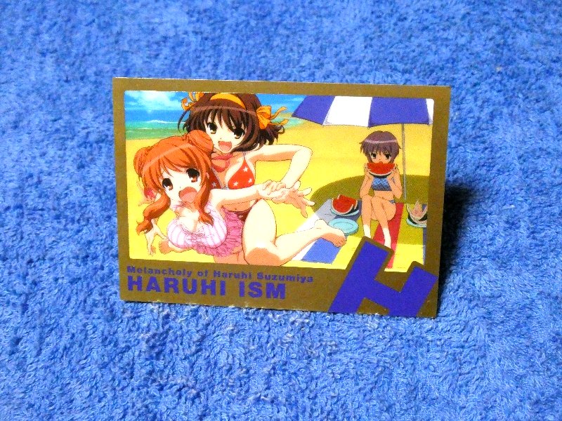涼宮ハルヒの憂鬱 The Melancholy of Haruhi Suzumiya Trading Card カード トレカ R26 Trading Card