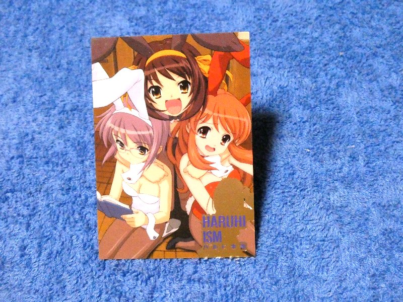 涼宮ハルヒの憂鬱 The Melancholy of Haruhi Suzumiya Trading Card カード トレカ R08 Trading Card