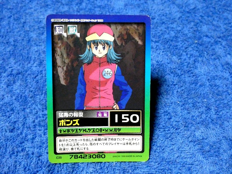 ハンターハンター HUNTER×HUNTER Trading Card カード トレカ ポンズ C20 Trading Card