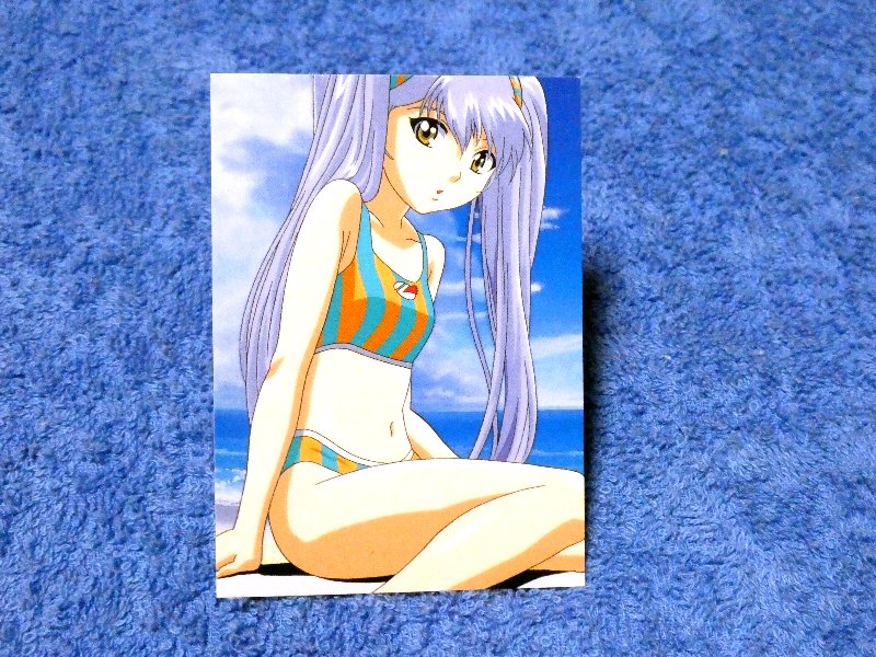 機動戦艦ナデシコ Martian Successor Nadesico Trading Card カード トレカ アニメディア99年付録カード Trading Card