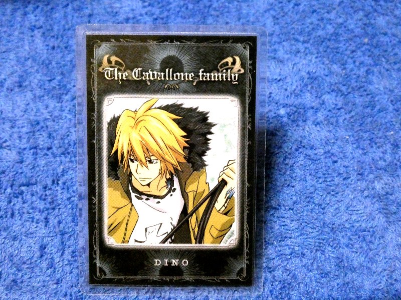 家庭教師ヒットマンreborn リボーン Trading Card ラミネート ラミネカードトレカ DINO Trading Card