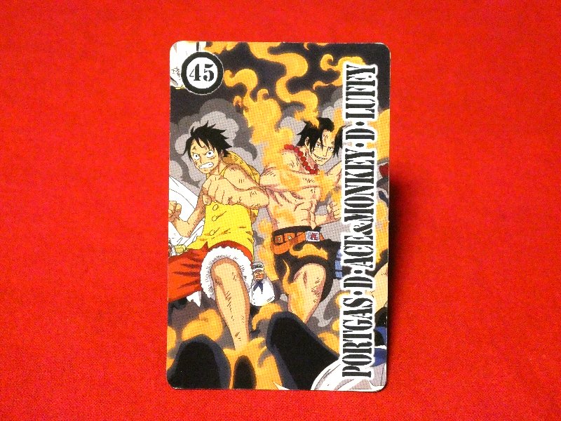 ONE PIECE ワンピース トップ TOP Trading Card カード トレカ ACE＆LUFFY 45 Trading Card