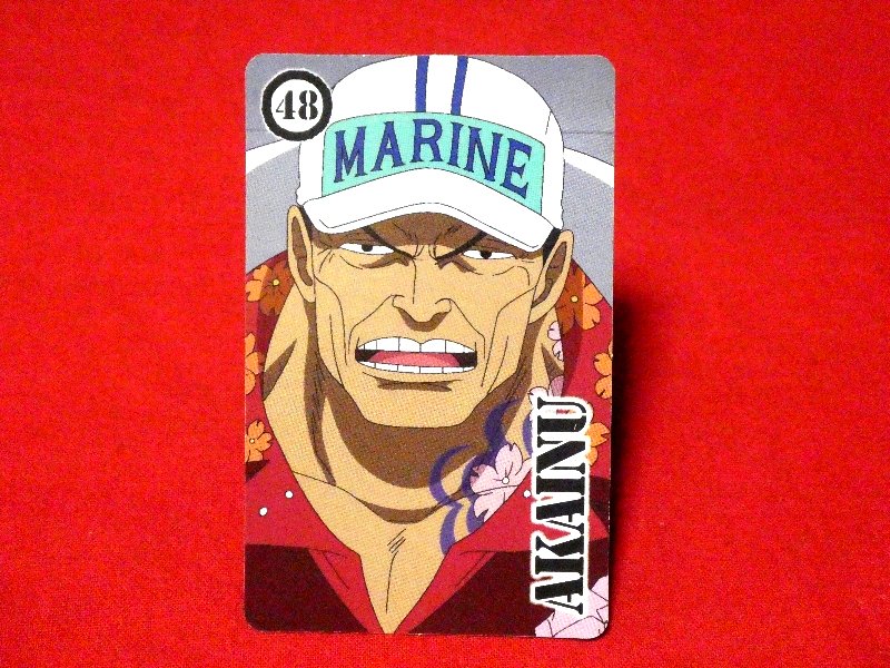 ONE PIECE ワンピース トップ TOP Trading Card カード トレカ AKAINU 48 Trading Card