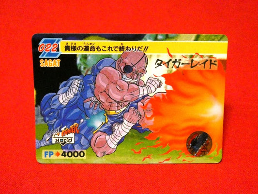 ストリートファイター ZERO Street Fighter Trading Card カード トレカ SAGAT サガット 022 Trading Card