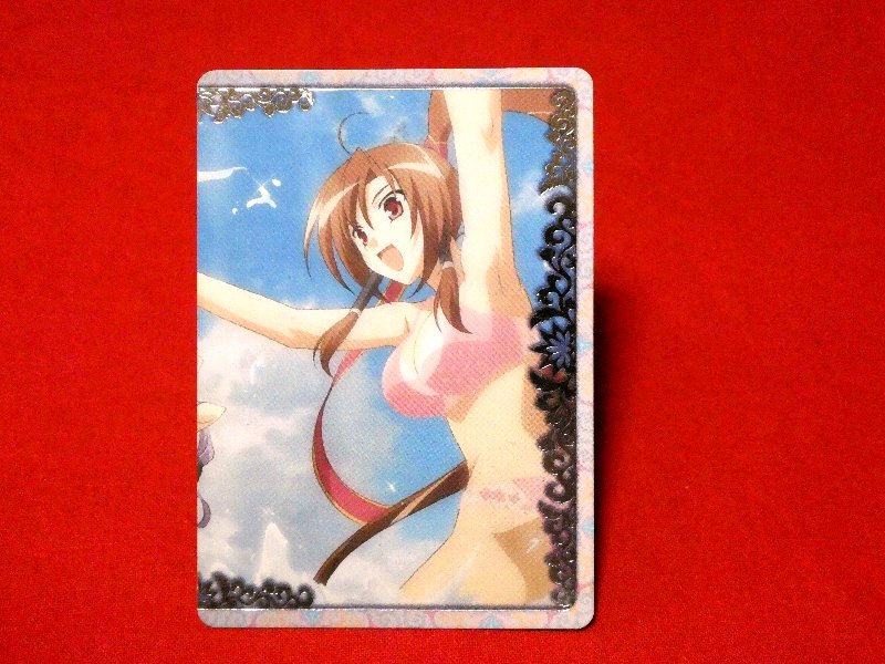 恋姫無双 Koihime Musou Trading Card カード トレカ SP14 Trading Card