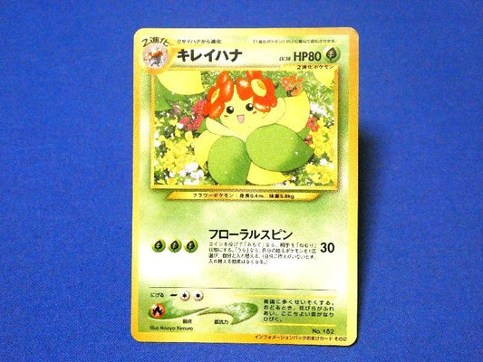 ポケットモンスター pocket monster Pokemon POKÉMON ポケモン Trading Card 旧裏面 カード トレカ インフォメーションパックおまけカードその２ キレイハナ Trading Card