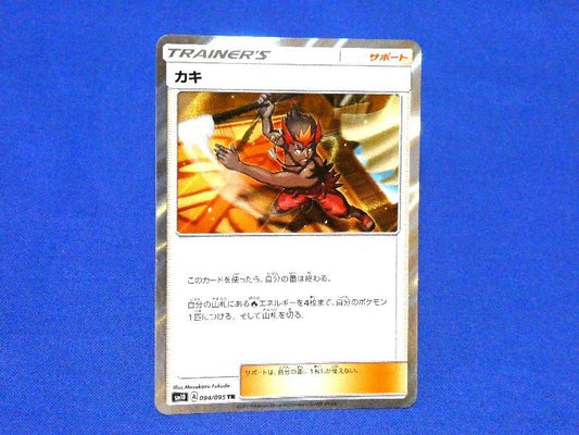 ポケットモンスター pocket monster Pokemon POKÉMON ポケモン Trading Card KIRACARD キラカード トレカ カキ 094/095TR Trading Card